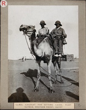 Wadi Natrun, Egypt: camel bearing two patients on stretchers (or cacolets) on the first world war Egyptian Western Front. Photograph, 1914/1918.