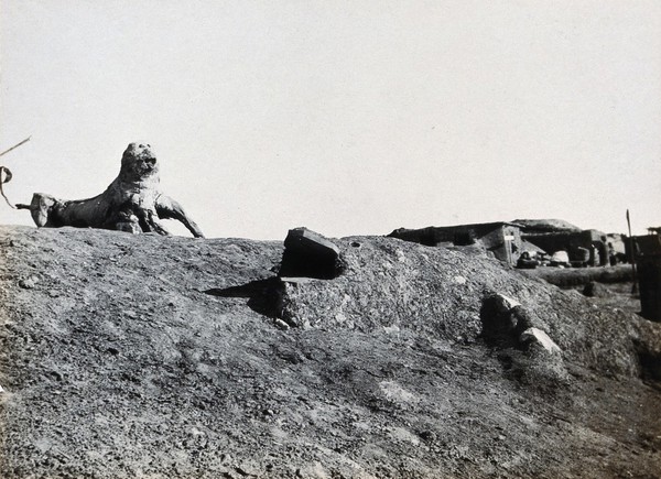 Suez (?) Canal Zone, Egypt (?): lion and crocodile 'sculptures' made from earth and found materials by soldiers on a First World War (?) military camp. Photograph, 1914/1918 (?).