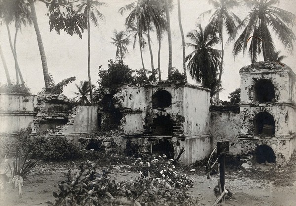 Cartagena, Colombia: ruins of stone structures (graves ?) surrounded by palm trees. Photograph, 1905/1920 (?).