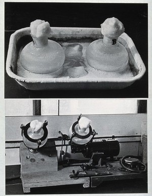 view Yellow fever: laboratory equipment. Photographs, 1910/1930 (?).