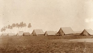 view The Gold Coast, Queensland: a yellow fever isolation camp: rows of tents with palm trees to one side. Photograph 1870/1900.