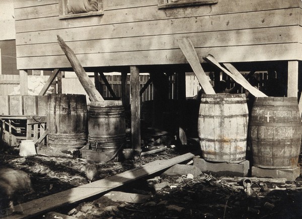 Panama (?): unhygienic water barrels alongside a wooden house; resident children in the background. Photograph, ca. 1910.