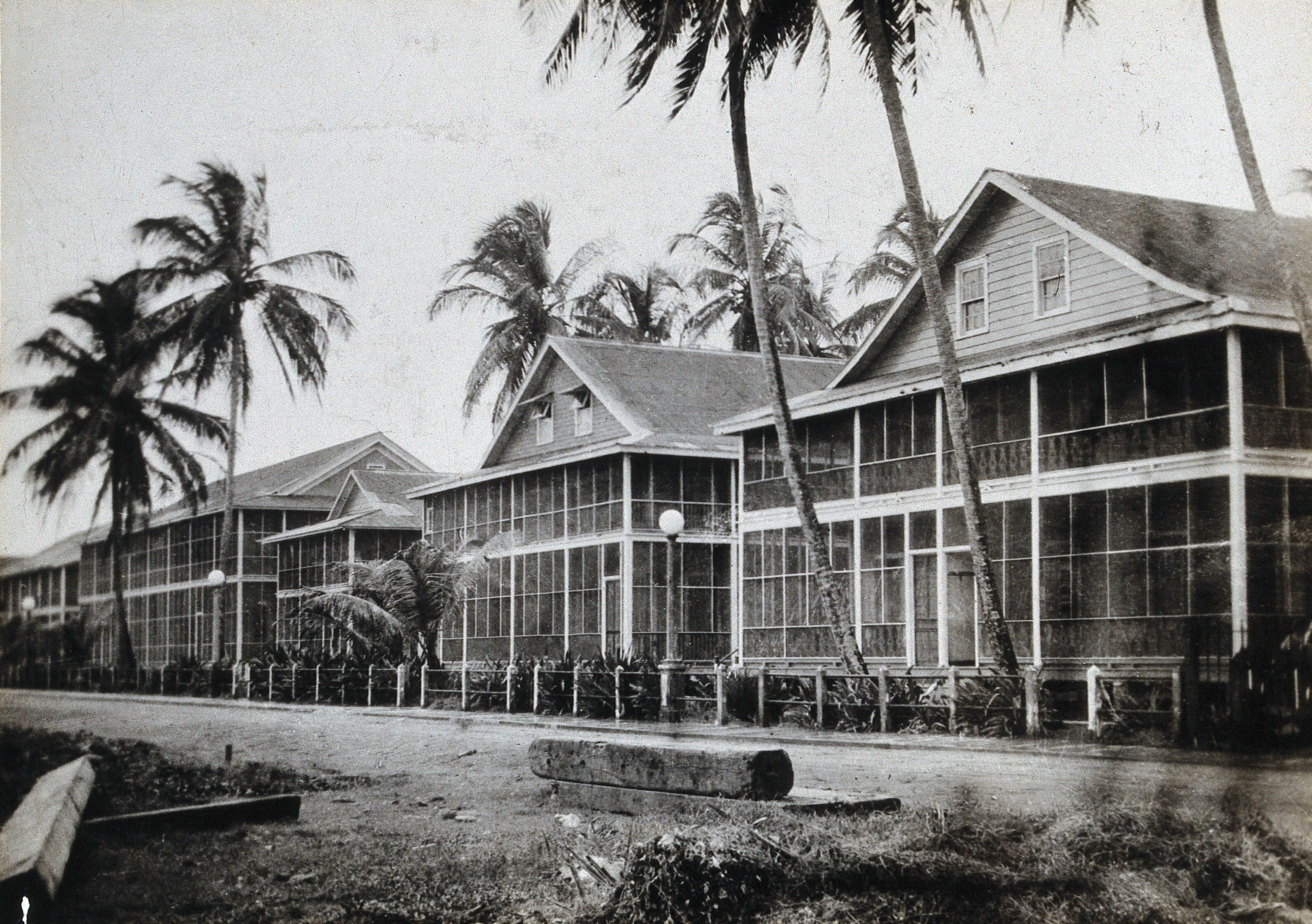 Panama Canal Zone large 'mosquitoproofed' houses with screened porches. Photograph, ca. 1910