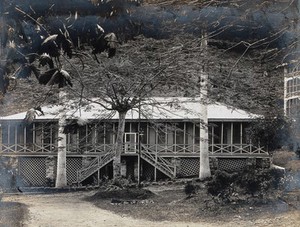 view Ancon, Panama Canal Zone: a French house with a screened-in porch. Photograph, ca. 1910.