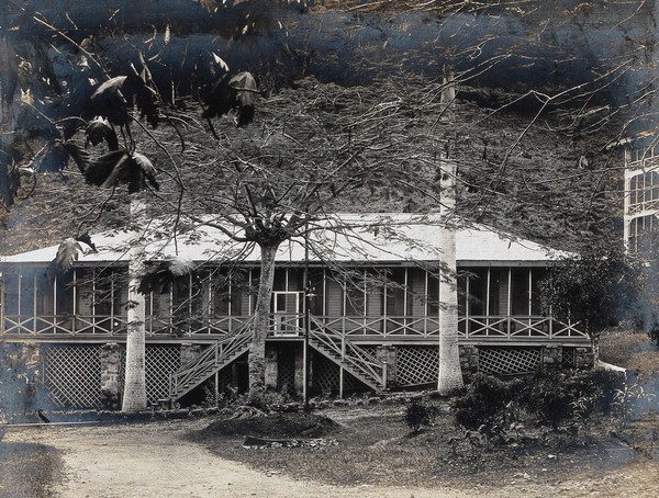 Ancon, Panama Canal Zone: a French house with a screened-in porch. Photograph, ca. 1910.