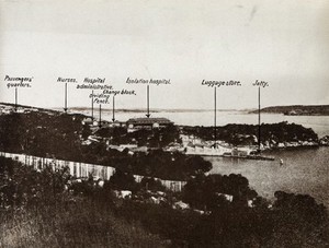 view Sydney, New South Wales: the quarantine station: view from the mainland showing the isolation hospital and the jetty. Reproduction of a photograph, 1880/1910 (?).