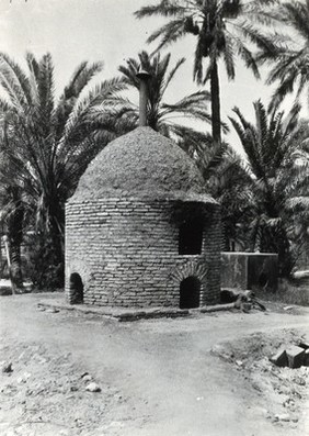 Closed incinerator, brick-built, in a clearing surrounded by palm trees, Africa (?). Photograph, 1905/1915.