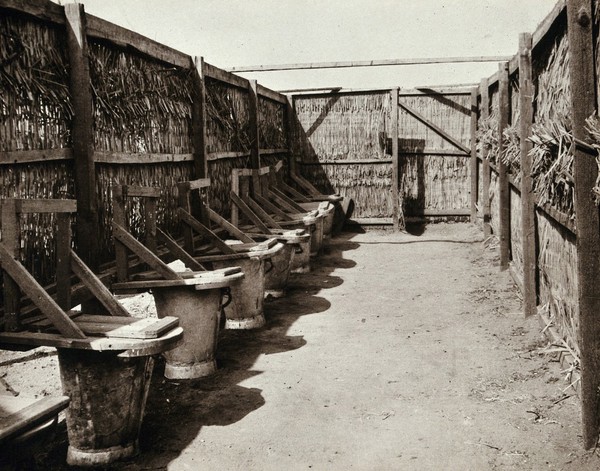 Fly-proof latrines, Tel-el-Kebir, Egypt, in World War I: the Australian camp. Photograph, 1914/1918.