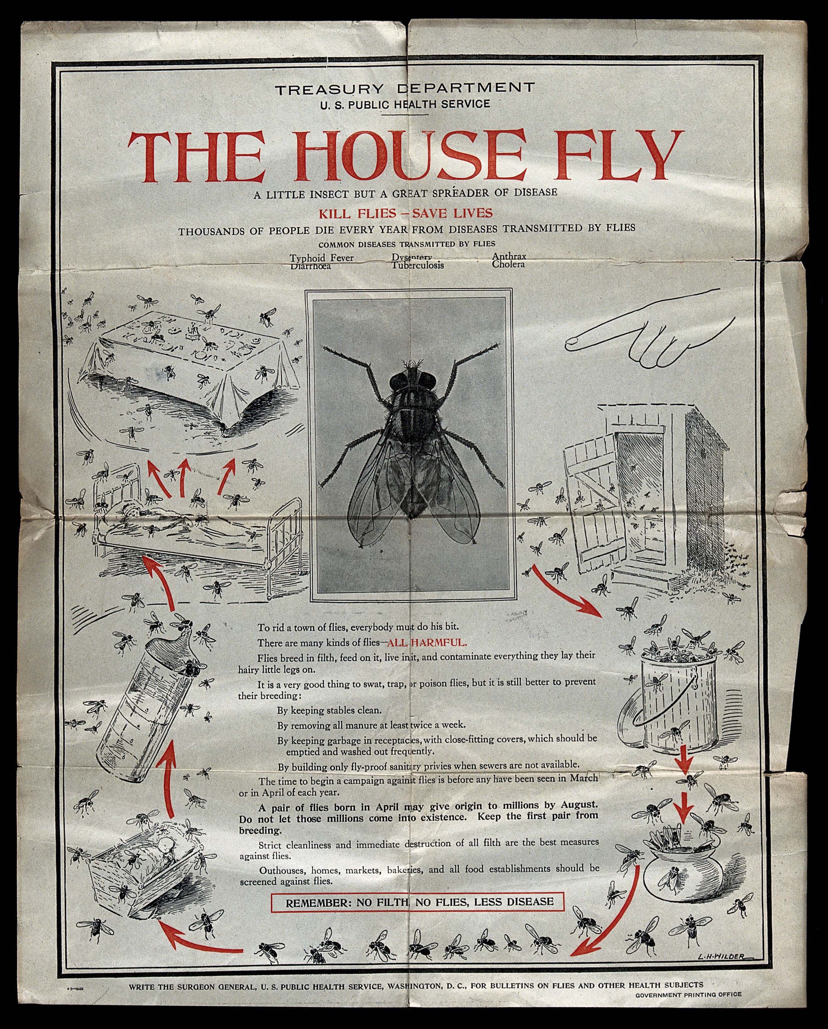 Diseases spread by the house fly. Colour lithograph by L.H. Wilder for