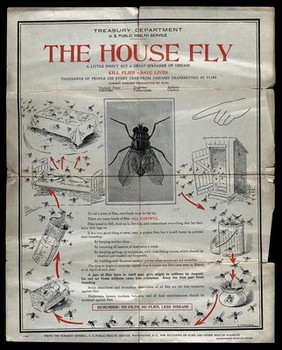 Diseases spread by the house fly. Colour lithograph by L.H. Wilder for the U.S. Public Health Service, 1912/1922.