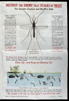 The tiger mosquito and the grey 'night-biting' mosquito as carriers of disease (dengue, yellow fever and filaria); advising citizens to clean up water-holding rubbish. Colour lithograph, ca. 1928.