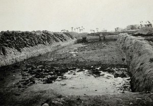 view Alexandria (?), Egypt: a ditch holding human sewage for the (British?) Army. Photograph, 1915/1925 (?).