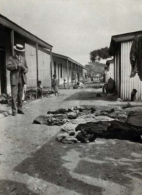 Durban, Natal, South Africa: clothes and bedding laid outside houses for de-lousing. Photograph, ca. 1910.