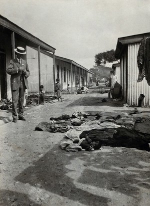 view Durban, Natal, South Africa: clothes and bedding laid outside houses for de-lousing. Photograph, ca. 1910.