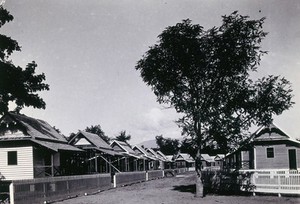 view Patton village, Chiengmai Leper Asylum, Thailand: a street of unfinished wooden houses. Photograph, 1921.