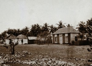 view Providencia Island, Venezuela: houses for leprosy sufferers. Photograph, 1890/1910.