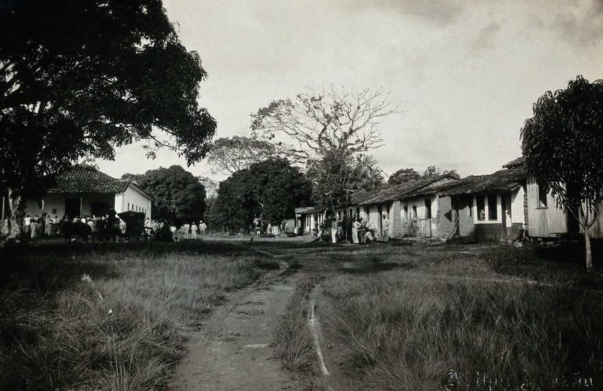 Tocunduba Lepers' Asylum, Pará, Brazil: a row of basic cottages; a horse and cart outside a larger building. Photograph, 1890/1910.