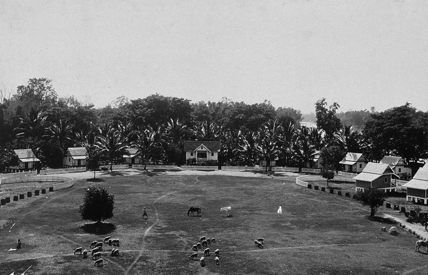 Chiengmai Leper Asylum, Thailand: livestock and horses grazing on grass surrounded by cottages and the asylum overseer's house (centre). Photograph, ca. 1921.