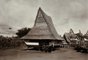 view A house with a high, pointed thatch roof with decorative detail; behind it is a similar shaped house for fowl. Photograph, 1890/1910.