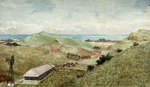 Amatikulu, Kwazulu-Natal, South Africa: a settlement for people with leprosy. Watercolour by E. Schwarz, 1920/1950 (?).