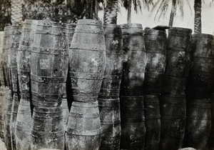 view Lime juice for the treatment of scurvy, issued to soldiers on the British Front in Iraq. Photograph, 1914/1918.