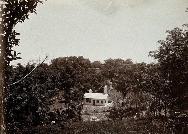 St. John's Island, Singapore: the Quarantine Station, a white house on a hillside surrounded by trees. Photograph by A. R. Wellington, 1909.