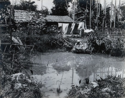 Assam, India: an Indian woman collects water in a bowl from a small pond; a washing line and a grass-roofed house in the background. Photograph, 1900/1920 (?).