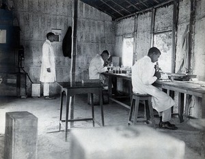 view India: a field laboratory: scientists in white lab. coats work with microscopes inside a rudimentary building. Photograph, 1900/1920 (?).