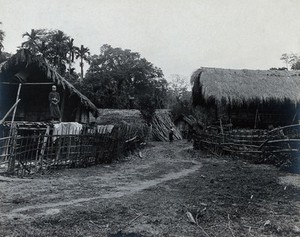 view India: an Ituni (?) village: grass-roofed houses on raised wooden platforms with two residents. Photograph, 1900/1920 (?).