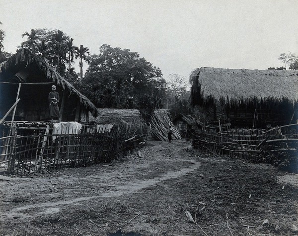 India: an Ituni (?) village: grass-roofed houses on raised wooden platforms with two residents. Photograph, 1900/1920 (?).