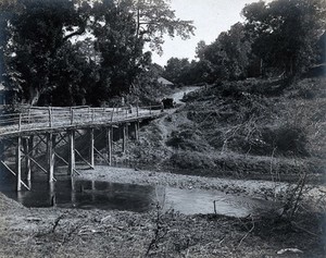 view Assam, India: a narrow wooden bridge over a river; a car is on the road in the distance; an Indian man stands to one side of the bridge. Photograph, 1900/1920 (?).