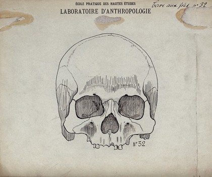 Skull (human ?): front-view. Drawing by Léonce Manouvrier, ca. 1900.