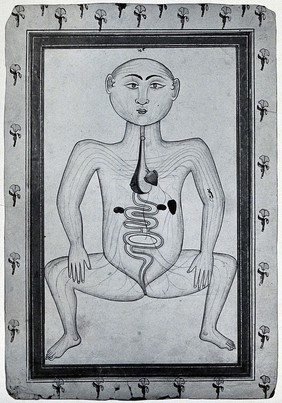 Persian anatomical figure, showing digestive system, surrounded by a flower-patterned border. Photograph, ca. 1930, of a miniature drawing.