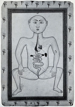 view Persian anatomical figure, showing digestive system, surrounded by a flower-patterned border. Photograph, ca. 1930, of a miniature drawing.