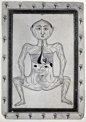 view Persian anatomical figure, depicting pregnancy, surrounded by a flower-patterned border. Photograph, ca. 1930, of a miniature drawing.