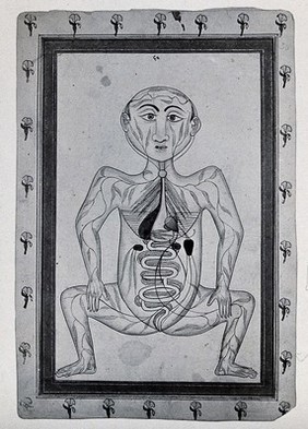 Persian anatomical figure, showing organs and decorated with leaves, with flower-patterned border. Photograph, ca. 1930, of a miniature drawing.