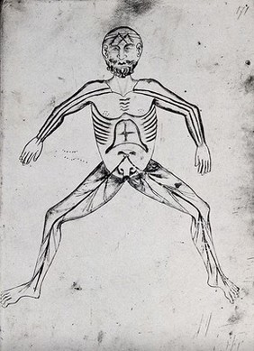 Anatomical male figure with facial features and a beard. Photograph, 1960/1990?, of a reproduction after a (medieval ?) drawing.