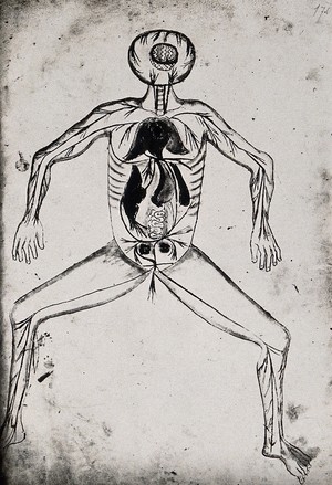 view Anatomical male figure, showing organs. Photograph, 1960/1990?, of a reproduction after a (medieval ?) drawing.