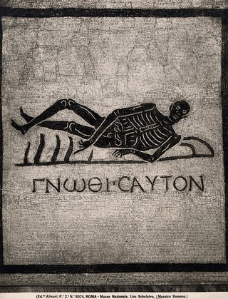 A Roman mosaic representing a skeleton reclining. Photograph by Edizione Alinari.