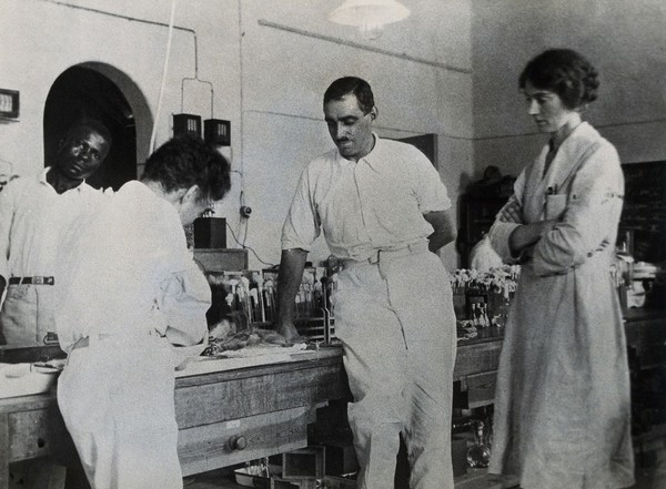 Medical Research Institute, Accra: medical researchers working on yellow fever. Photograph, 1928.