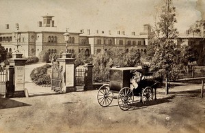 view Adelaide, South Australia: Adelaide Hospital. Photograph, 18--.