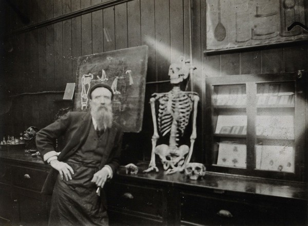 Cooke's School of Anatomy (London School of Anatomy), London: interior, showing a man with a skeleton. Photograph, ca. 192-.