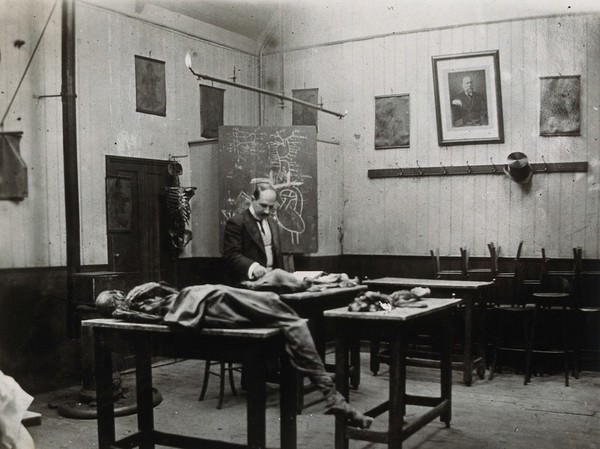 Cooke's School of Anatomy (London School of Anatomy), London: interior, showing Edward Knight with anatomical specimens. Photograph, ca. 192-.