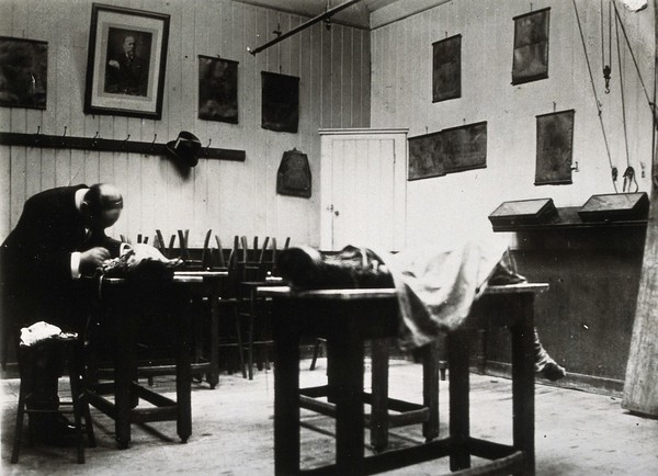 Cooke's School of Anatomy (London School of Anatomy), London: interior, showing Edward Knight with anatomical specimens. Photograph, ca. 192-.