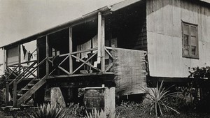 view Sierra Leone: an insane asylum, a small wooden building with a porch. Photograph, ca. 1920.