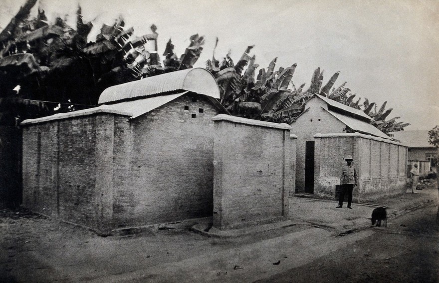 Lagos, Nigeria: public latrine buildings. Photograph, 1910/1920.