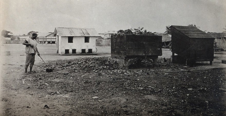 Lagos, Nigeria: latrine buildings and a man seen sweeping rubbish with a broom. Photograph, 1910/1920.