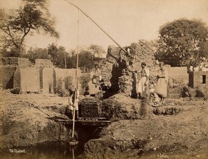 view A shaduf, or water crane, North Africa: men are shown operating the water raising machine. Photograph by P. Sébah, 1870/1886?.