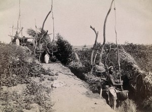 view Shadufs, or water cranes, North Africa: men are shown operating water raising machines. Photograph by P. Sébah, 1870/1886?.
