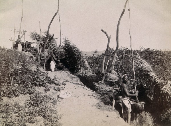 Shadufs, or water cranes, North Africa: men are shown operating water raising machines. Photograph by P. Sébah, 1870/1886?.